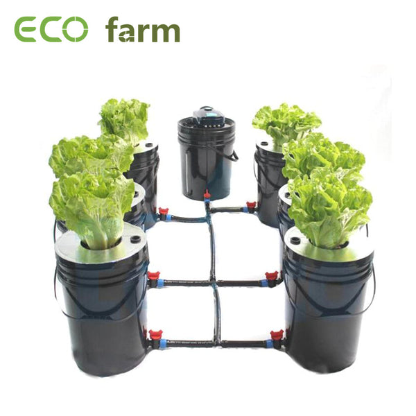 ECO Farm DWC Hydroponic System 6 Bucket Grow Kit System