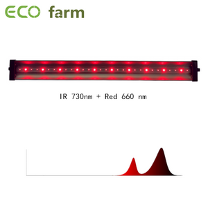 ECO Farm 30W IR 730NM+rossa 660NM barra luminosa singola supplementare