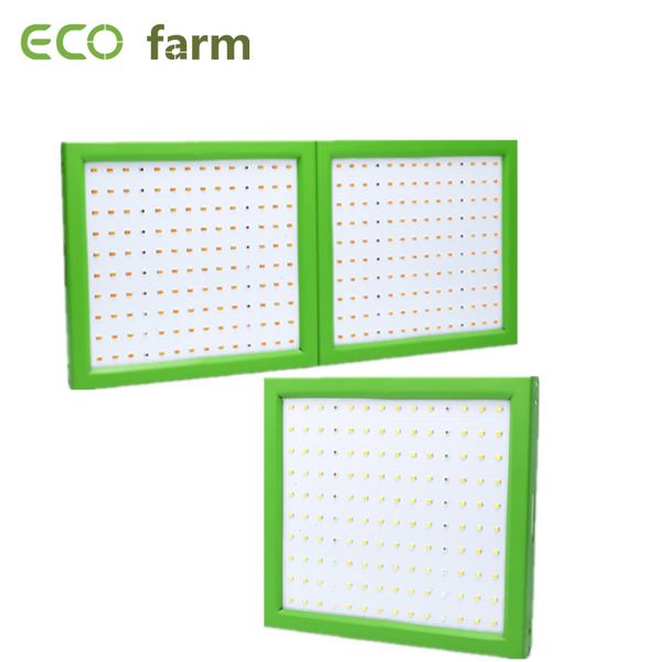 ECO Farm Spliced 50W/100W Quantum Board Tipo Verde con chip Samsung 281B Spettro Completo