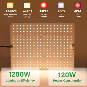 ECO Farm 85W/120W LED Quantum Board Dimmerabile a Spettro Completo con Samsung LM281B Interruttore Veg e Bloom