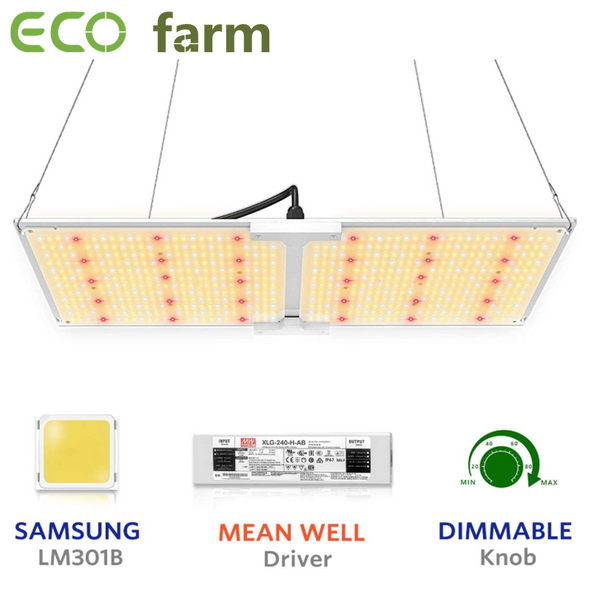 ECO Farm Nuovo Aggiornamento 110W/220W/460W/600W Quantum Board con Samsung 301B Chips + Daisy Chain