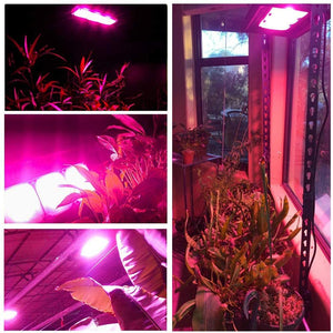 ECO Farm 150W COB LED lampada per coltivazione impermeabile