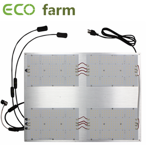 ECO Farm 5'x5' Kit essenziale per Tende da Coltivazione - 480W V3 Samsung 301H Patatine Quantum Board