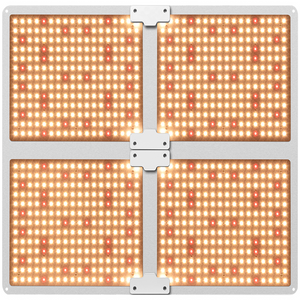 ECO Farm 100W/220W/450W/600W Quantum Board con Chip Samsung LM281B + UV + IR+Lampada Led Coltivazione