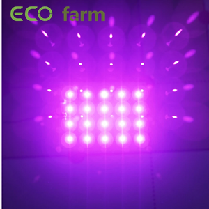 ECO Farm  Scheda Quantum Board di Illuminazione Supplementare LG UV 395nm 30W