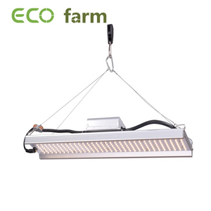 ECO Farm 150W/240W Quantum Board con Samsung 301B SMD 3030 + Luce di Crescita Rossa + UV + IR